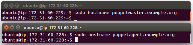 puppet_hostnames.png