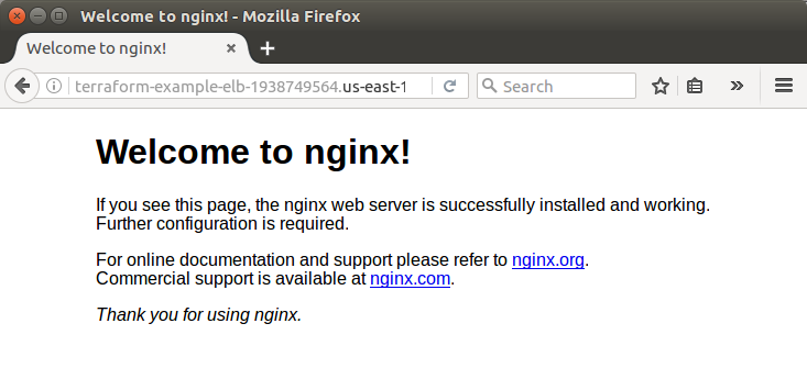 terra-elb-nginx.png