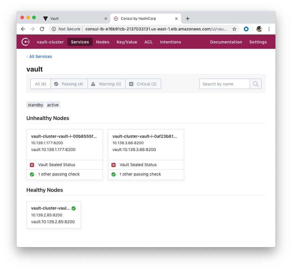 consul-services-with-two-vaults-standby-detail.png
