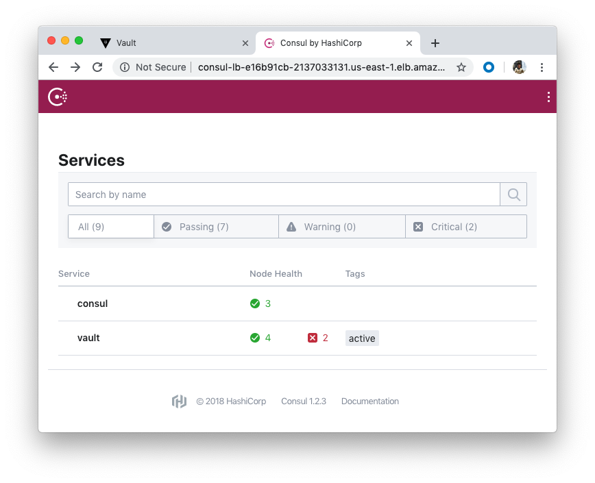 consul-services-with-two-vaults-standby.png