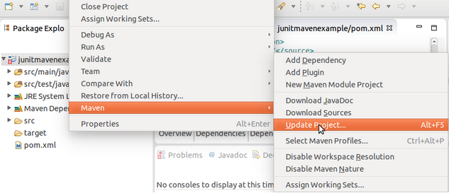 Project_Maven_UpdateProject.png