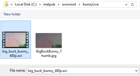 bunny_avi.png